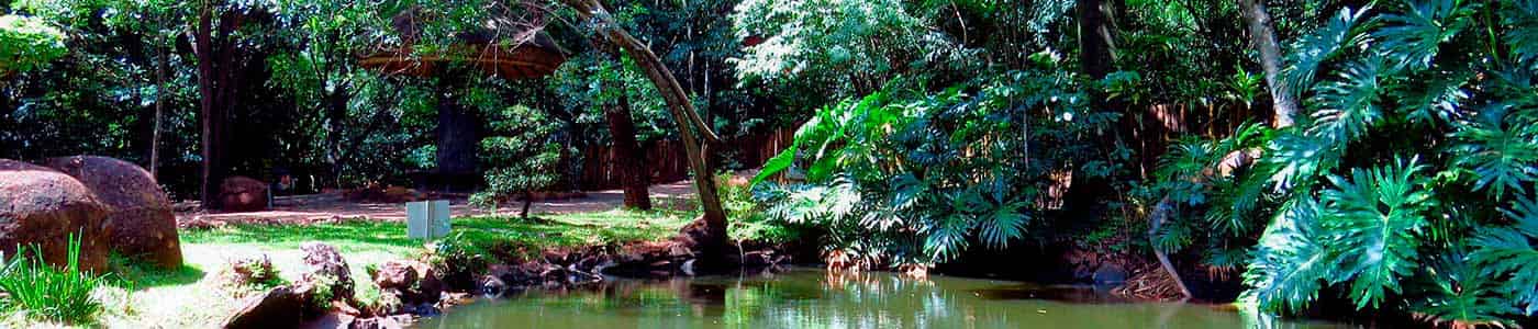 Parque do ingá - Maringá - PR